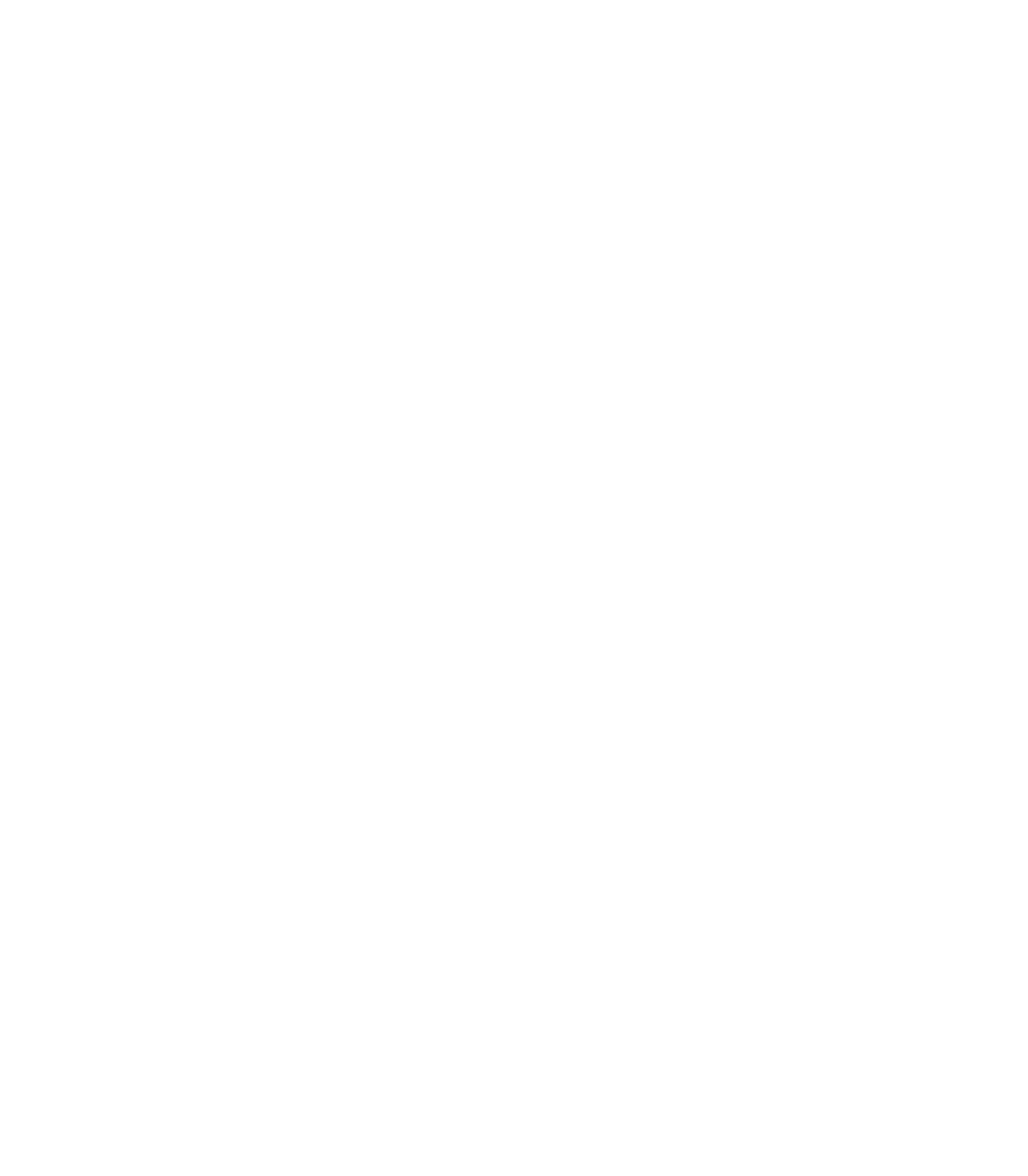 Main Logo